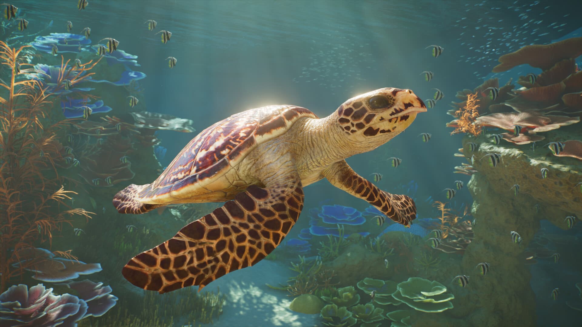 Szene aus Planet Zoo 2